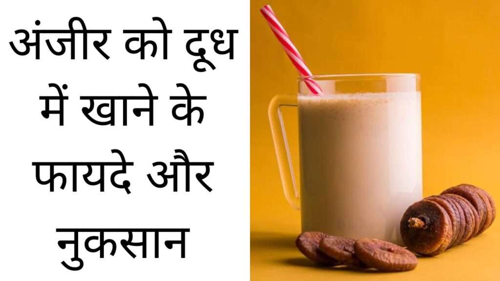 अंजीर को दूध में खाने के फायदे और नुकसान | Anjeer ko doodh mei khane ke fayde aur nuksan hindi mei